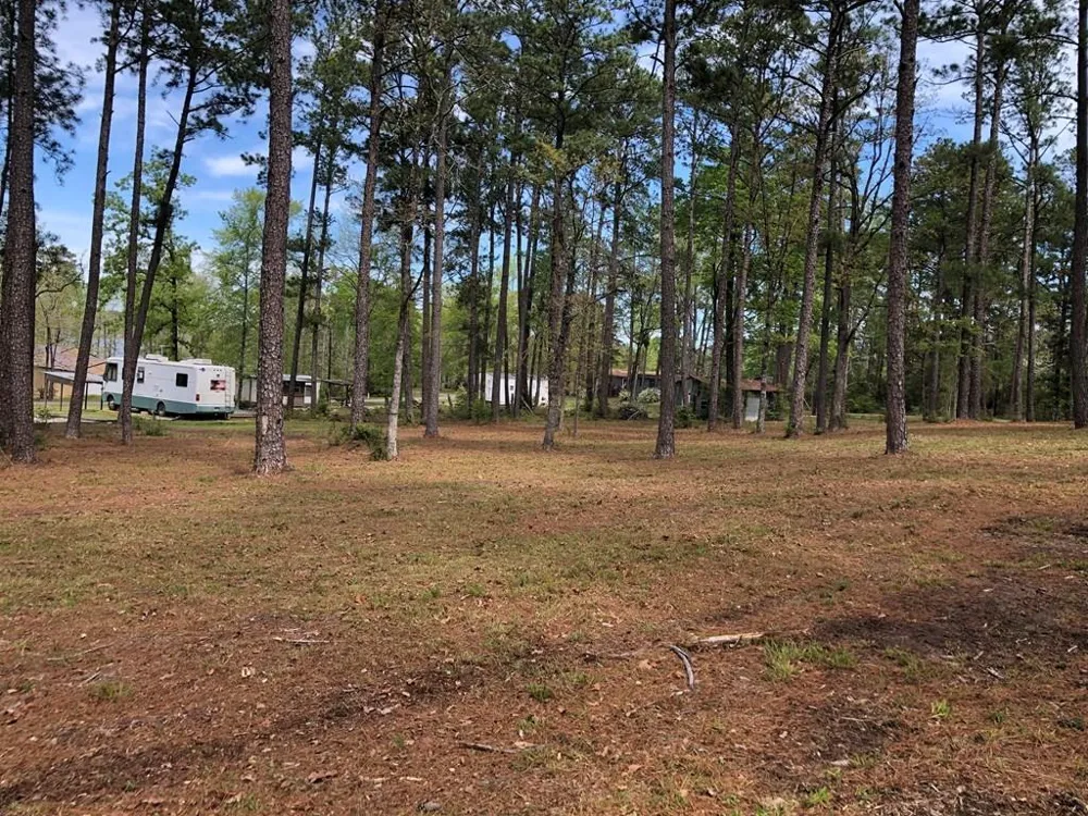 270 Peachtree Drive Burkeville, TX 75932