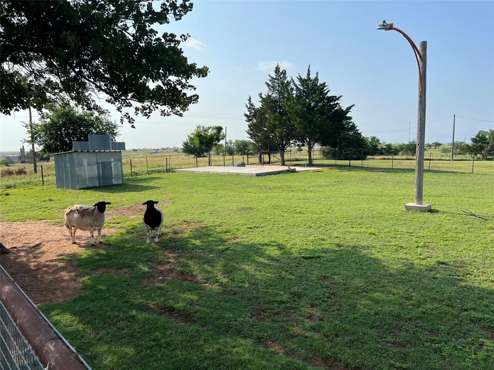 12165 Fm 103 Nocona, TX 76255