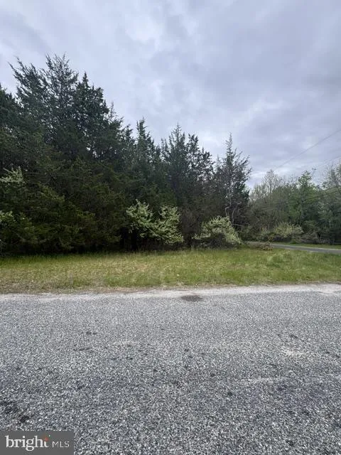 0 SHAFFER AVENUE