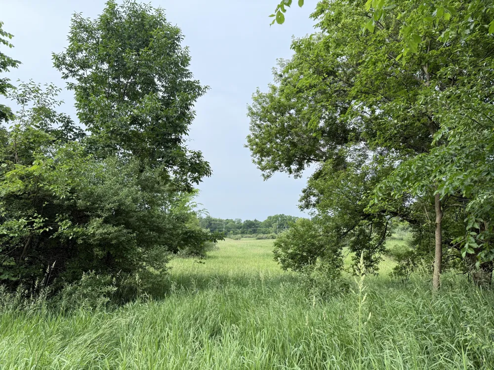Arthur Drive Grass Lake, MI 49240