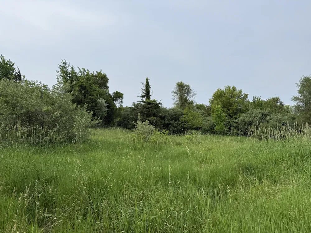 Arthur Drive Grass Lake, MI 49240