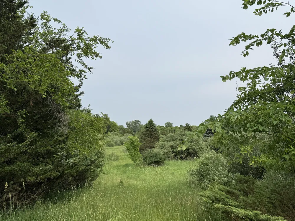 Arthur Drive Grass Lake, MI 49240