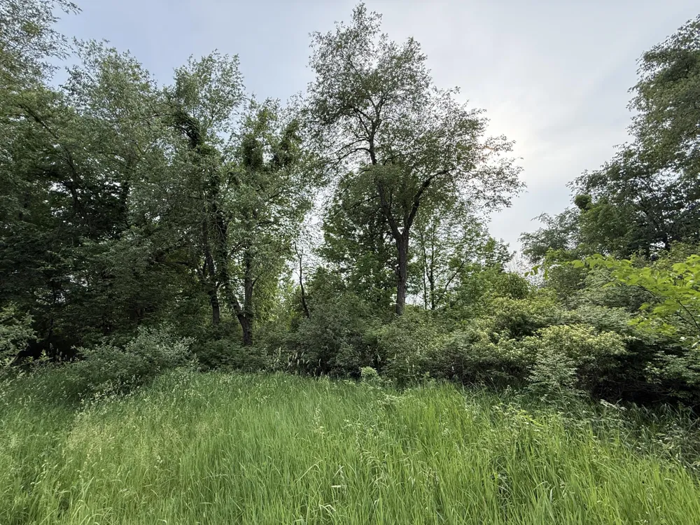 Arthur Drive Grass Lake, MI 49240