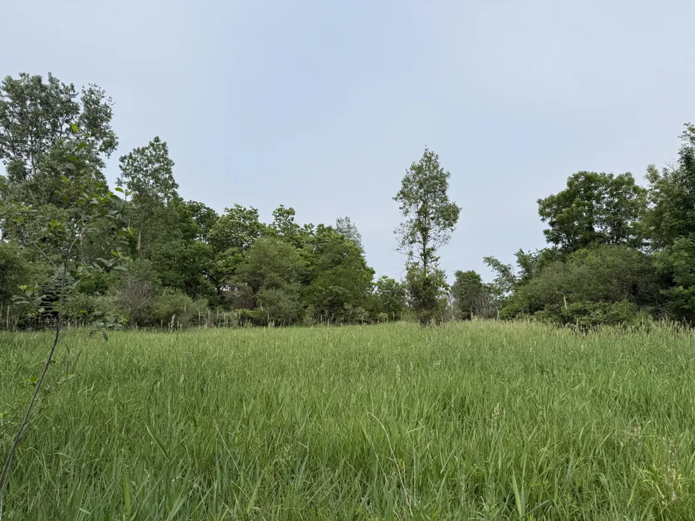 Arthur Drive Grass Lake, MI 49240