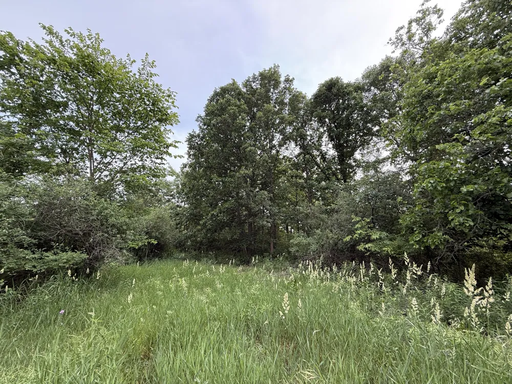 Arthur Drive Grass Lake, MI 49240