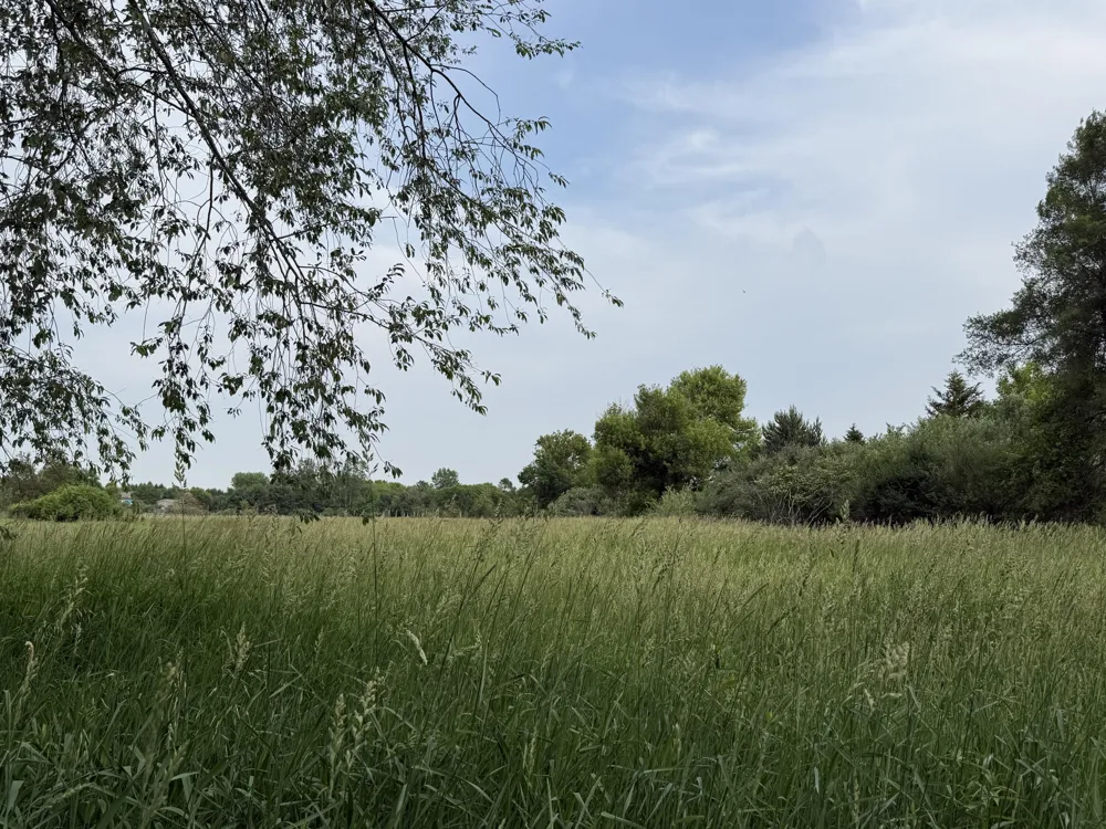 Arthur Drive Grass Lake, MI 49240