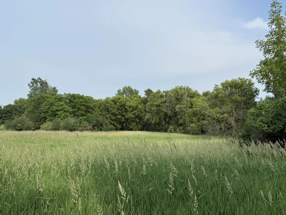 Arthur Drive Grass Lake, MI 49240