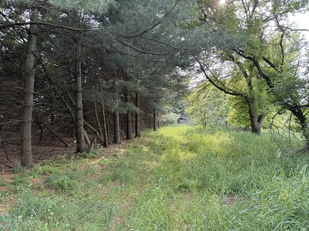 Arthur Drive Grass Lake, MI 49240