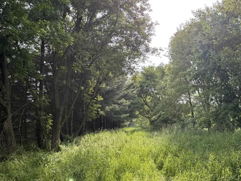 Arthur Drive Grass Lake, MI 49240