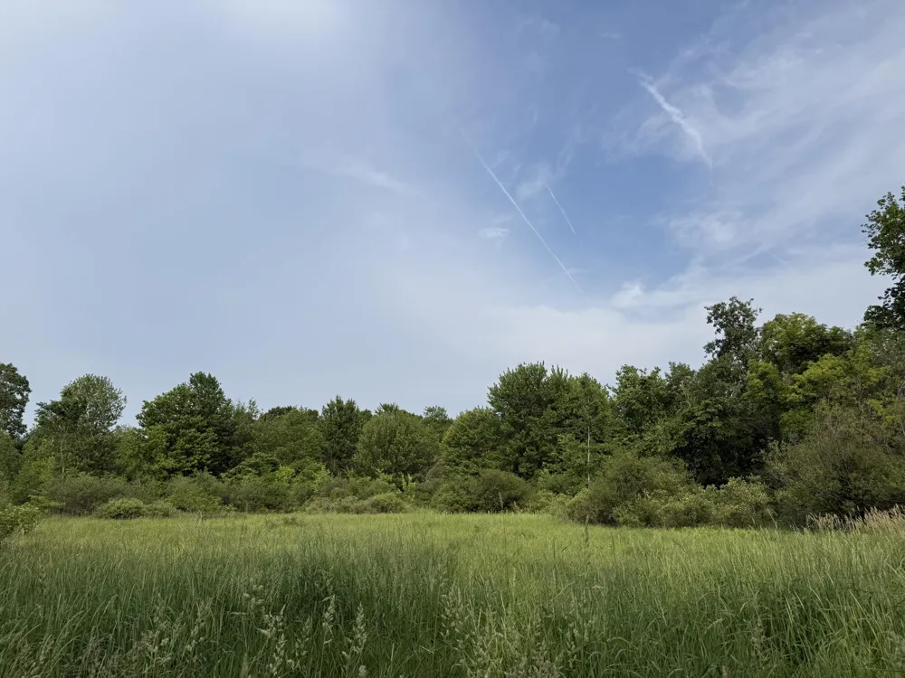 Arthur Drive Grass Lake, MI 49240