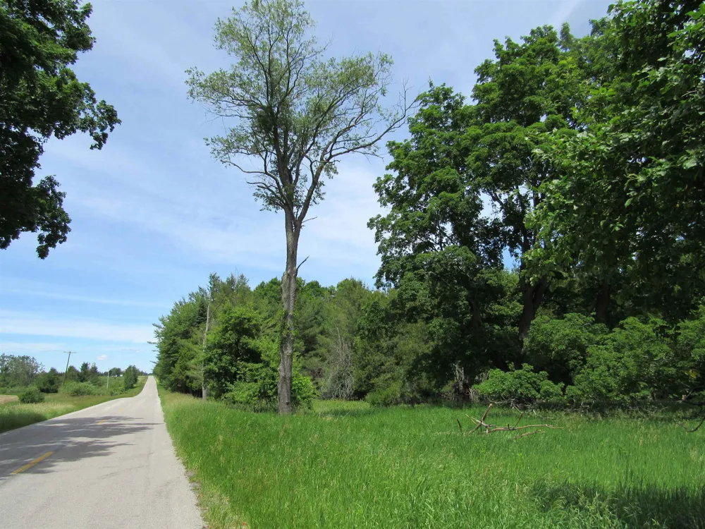 Poor Farm Road Haynes Township, MI 48740