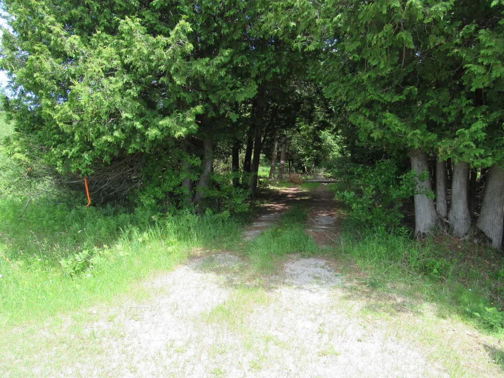 Poor Farm Road Haynes Township, MI 48740