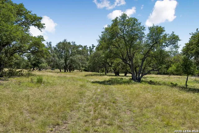 230 OLD ROEDER RD NW Harper, TX 78631