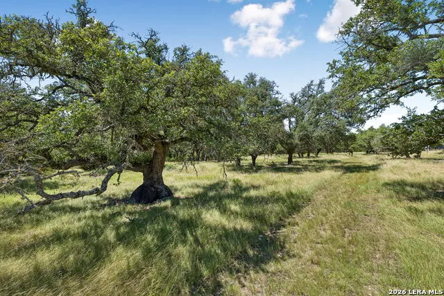 230 OLD ROEDER RD NW Harper, TX 78631