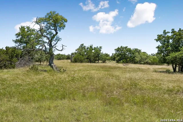 230 OLD ROEDER RD NW Harper, TX 78631