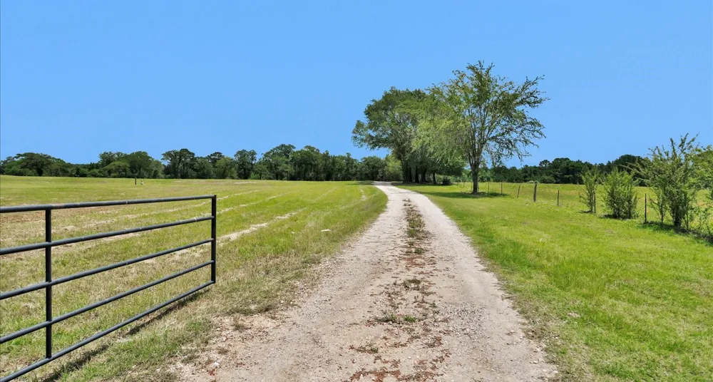 9445 Cr 415 E Navasota, TX 77868