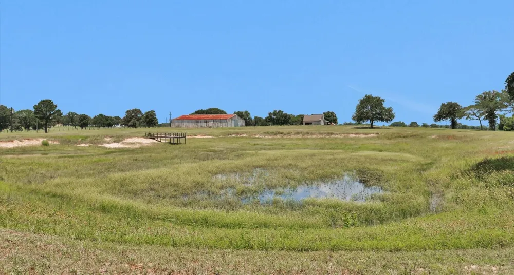 9445 Cr 415 E Navasota, TX 77868
