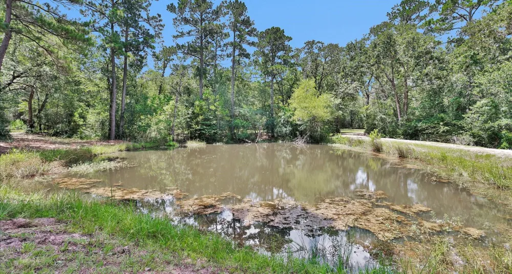 9445 Cr 415 E Navasota, TX 77868