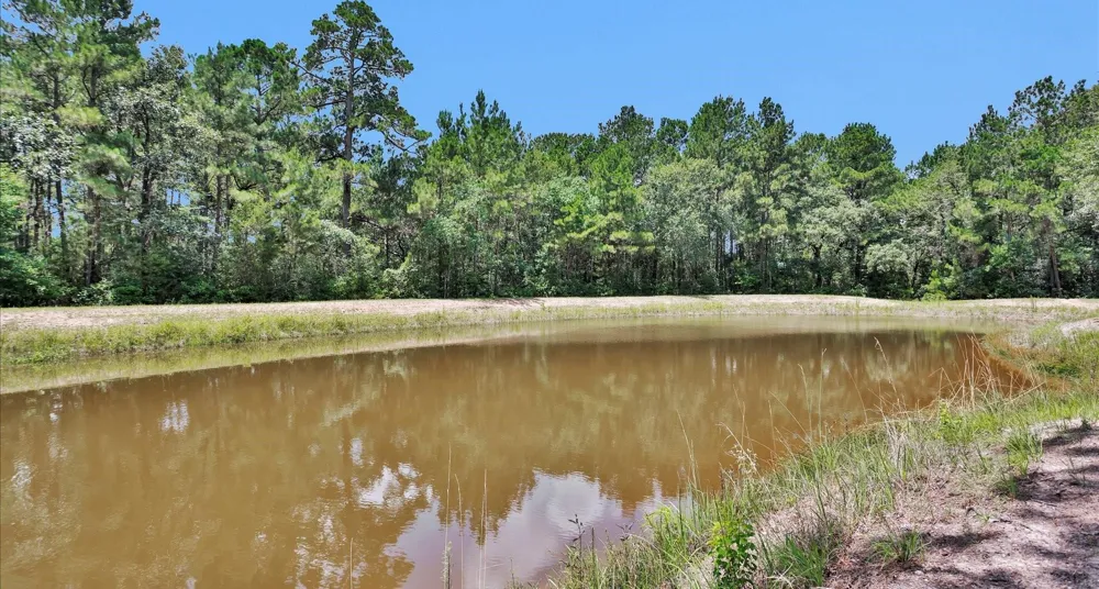 9445 Cr 415 E Navasota, TX 77868