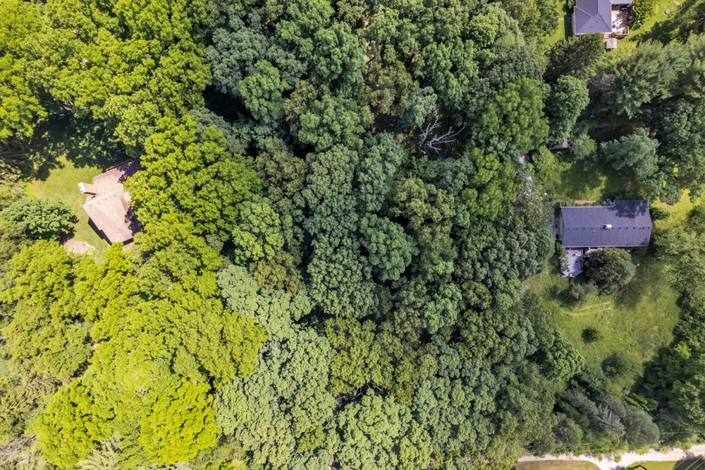 Cherrywood Lane Ann Arbor, MI 48103