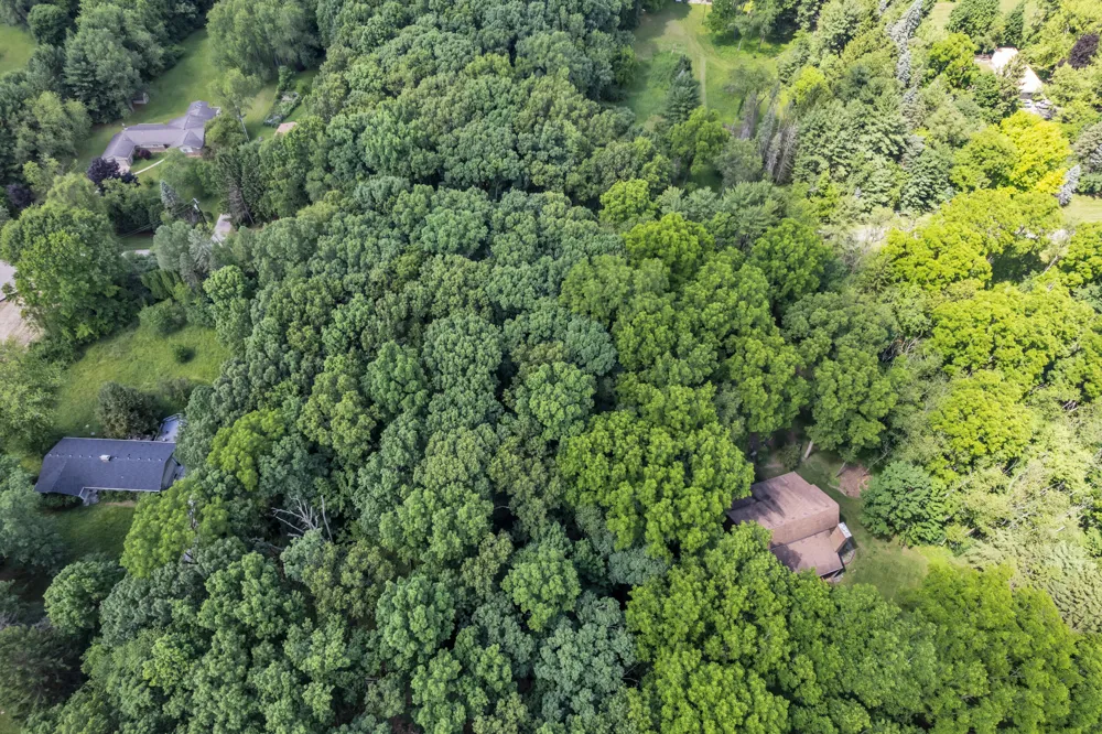 Cherrywood Lane Ann Arbor, MI 48103