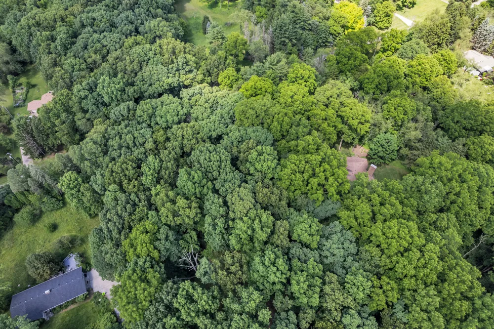 Cherrywood Lane Ann Arbor, MI 48103