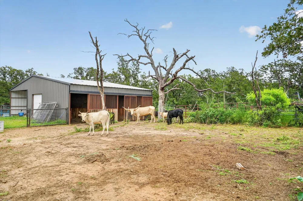 1017 County Road 3555 Paradise, TX 76073