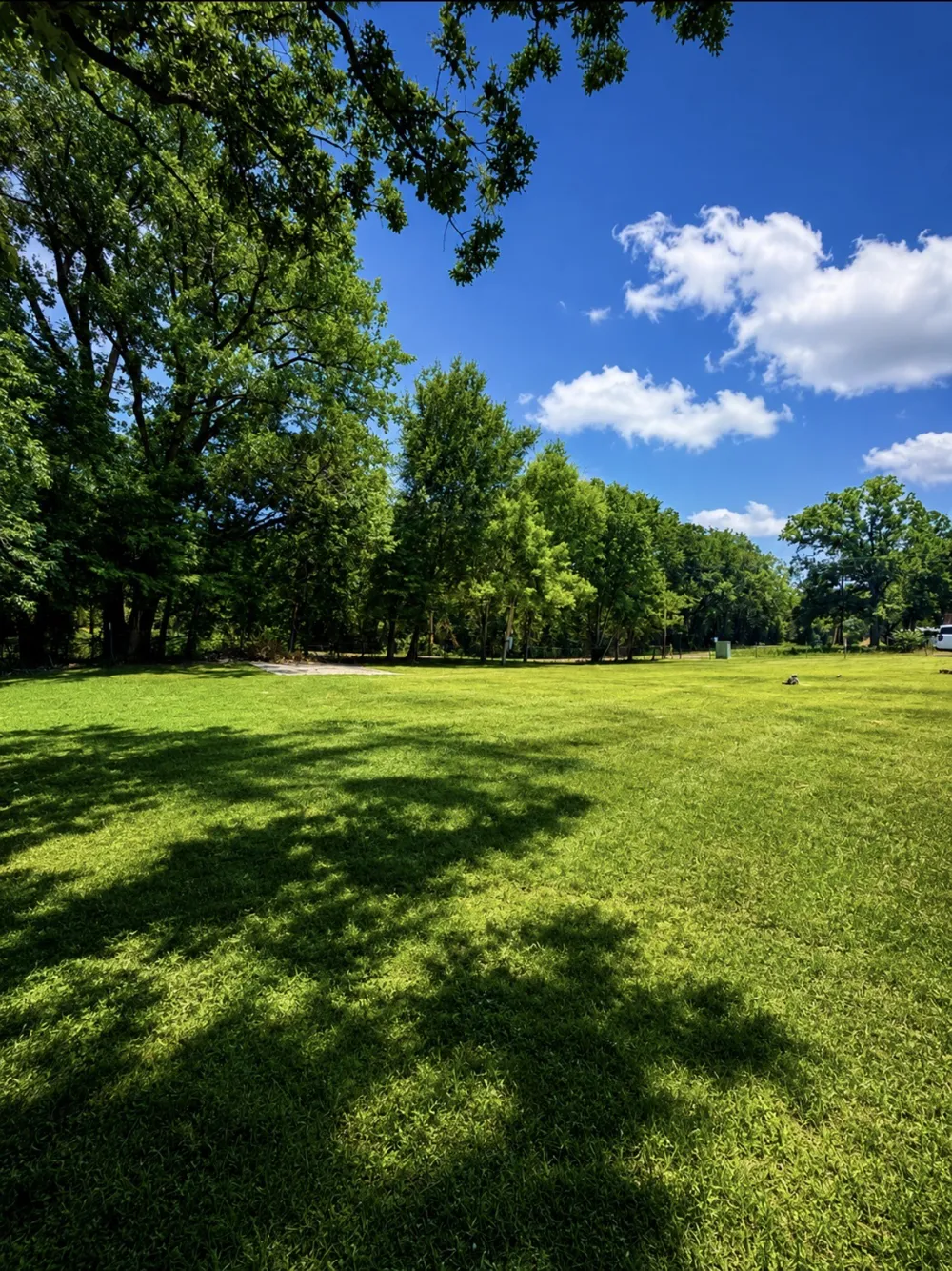 3102 County Road 1703 Malakoff, TX 75148