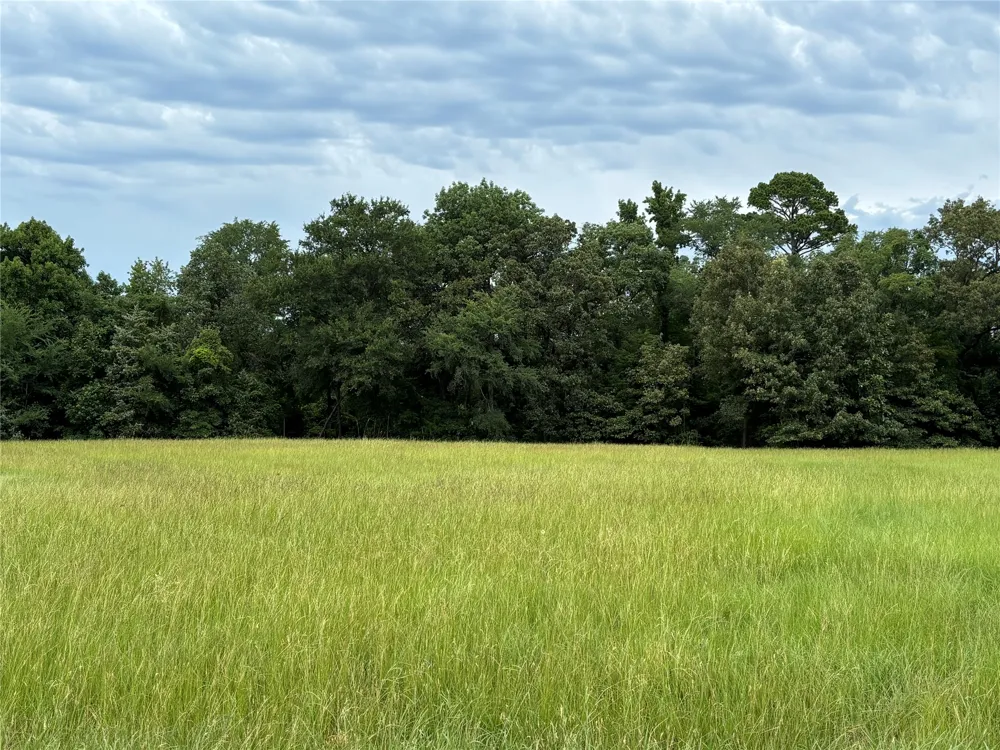 Pr 2712 Mt Pleasant, TX 75455