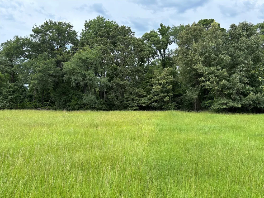 Pr 2712 Mt Pleasant, TX 75455