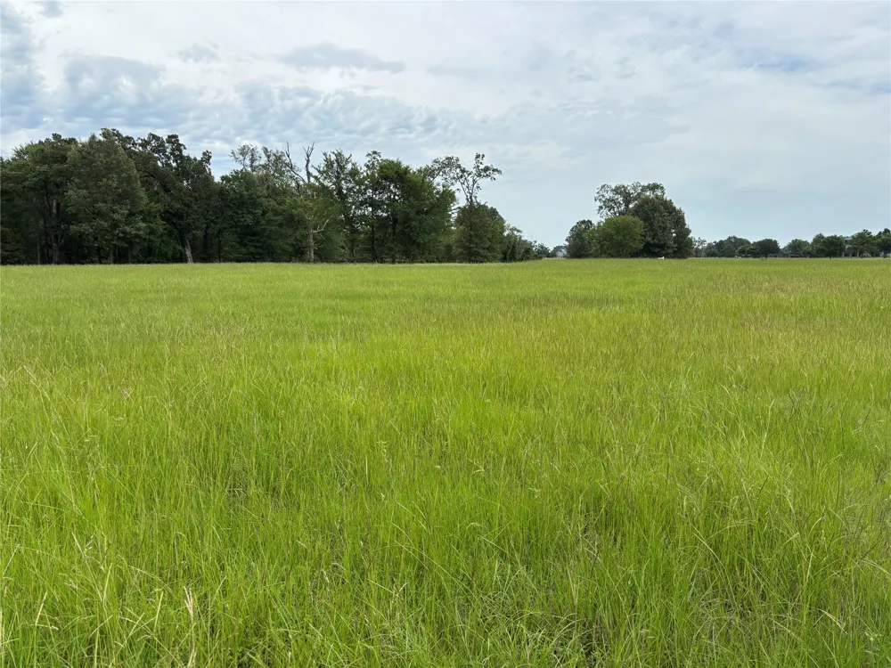 Pr 2712 Mt Pleasant, TX 75455