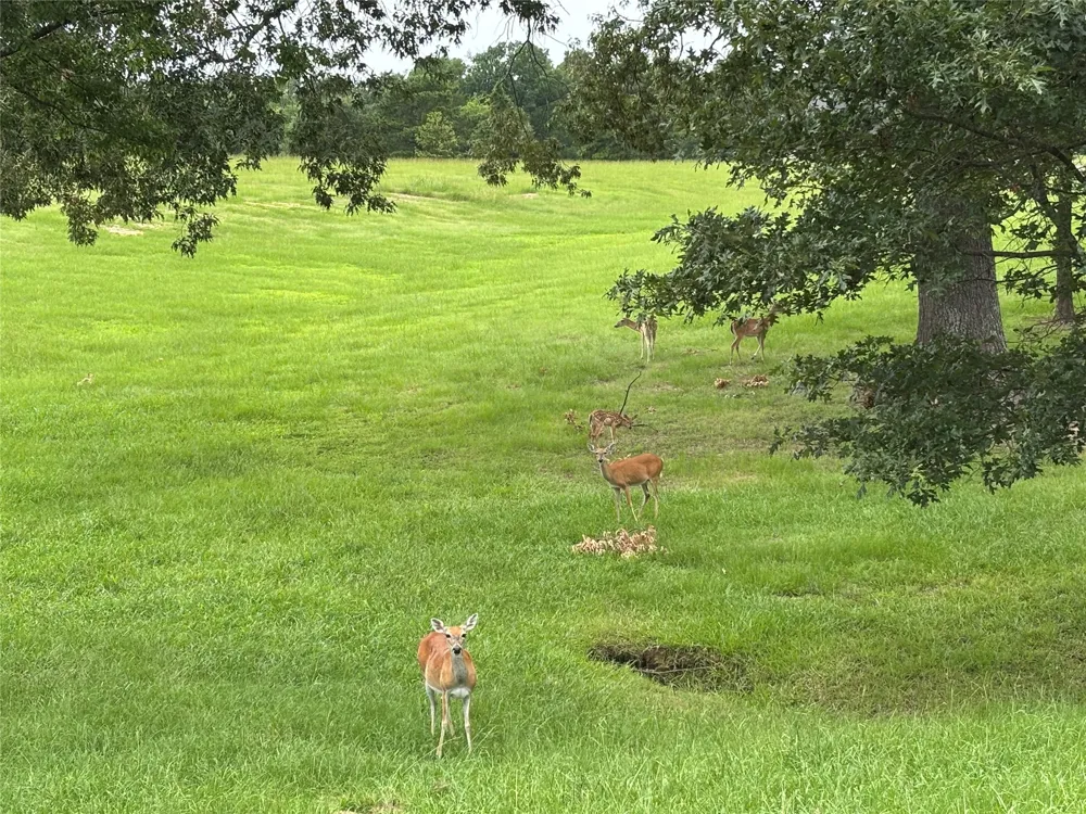 Pr 2712 Mt Pleasant, TX 75455