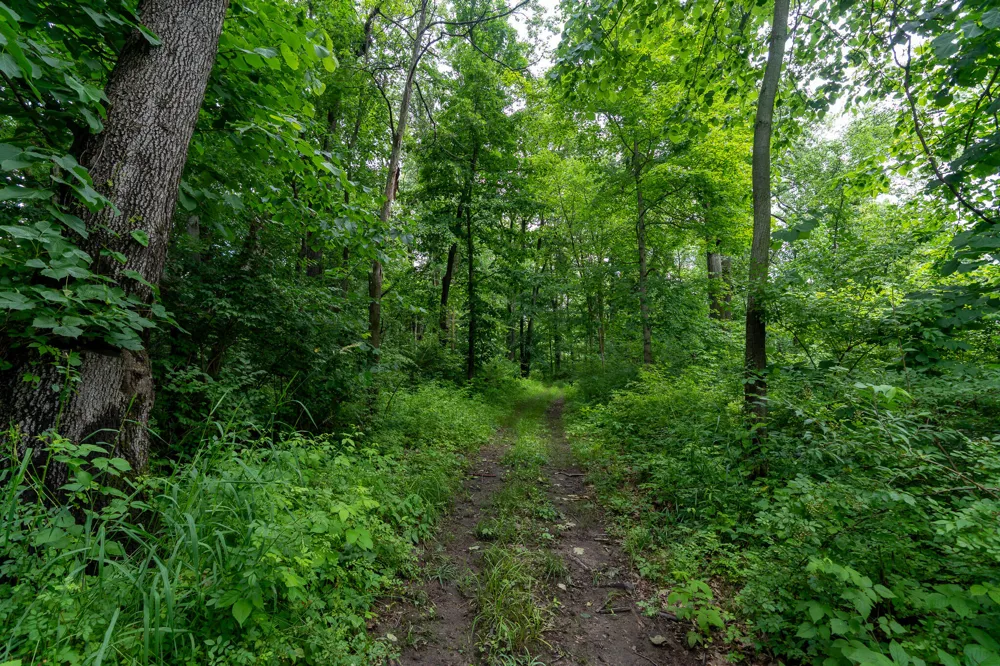 5075 Weiser Road Niles, MI 49120