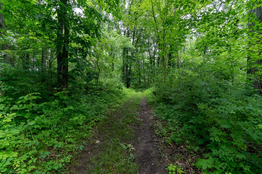 5075 Weiser Road Niles, MI 49120