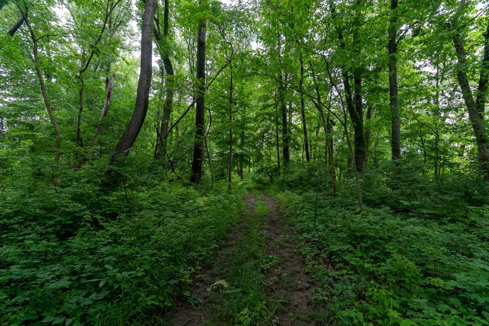 5075 Weiser Road Niles, MI 49120