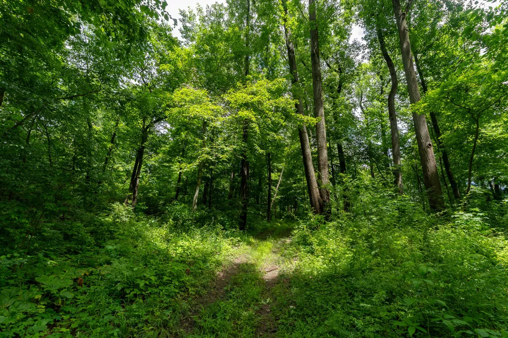 5075 Weiser Road Niles, MI 49120
