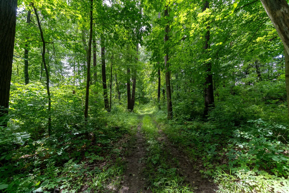 5075 Weiser Road Niles, MI 49120