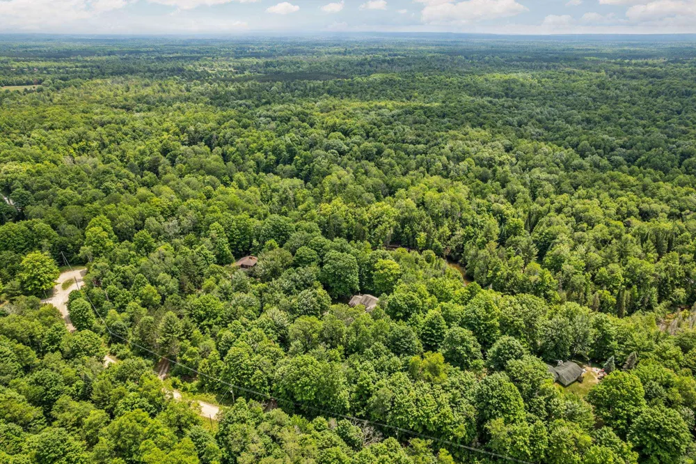 15445 Holly Drive Springdale Township, MI 49683