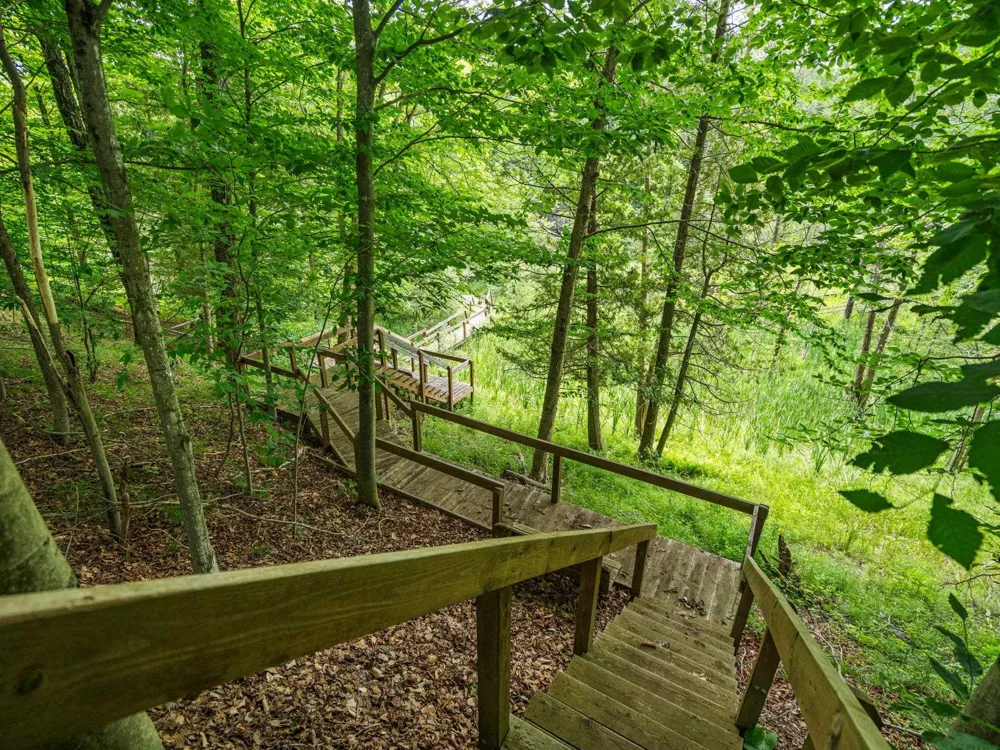 15445 Holly Drive Springdale Township, MI 49683