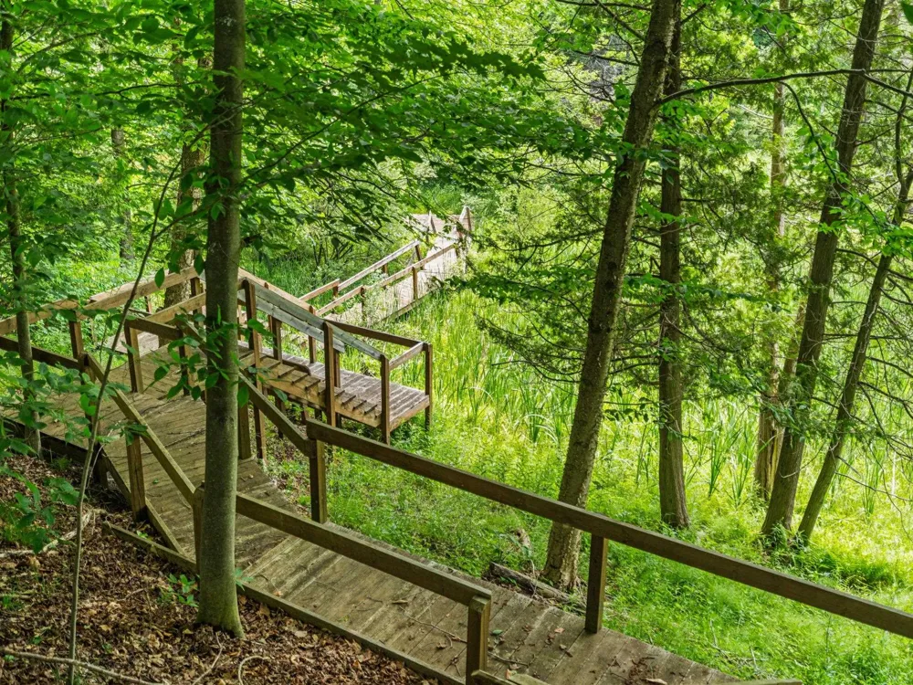 15445 Holly Drive Springdale Township, MI 49683