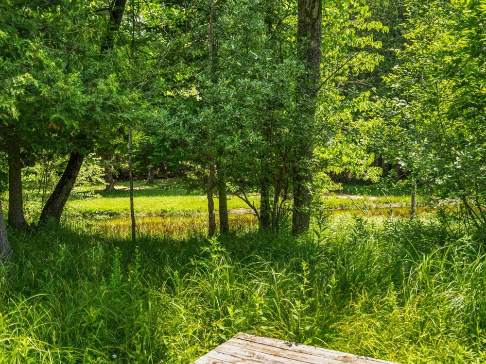 15445 Holly Drive Springdale Township, MI 49683