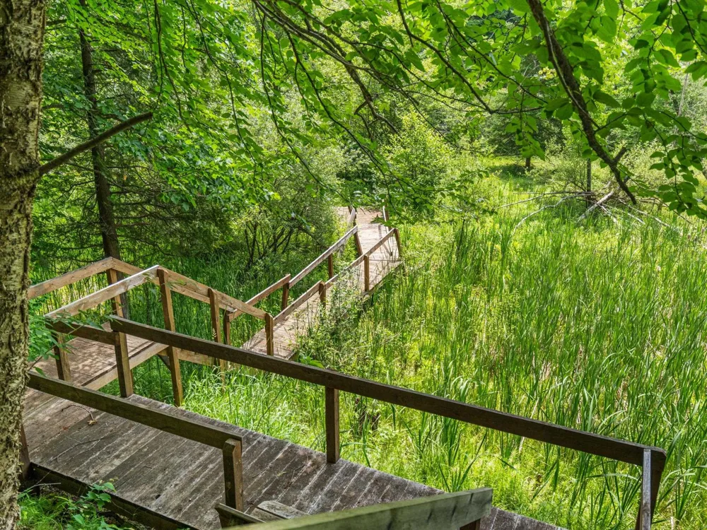 15445 Holly Drive Springdale Township, MI 49683
