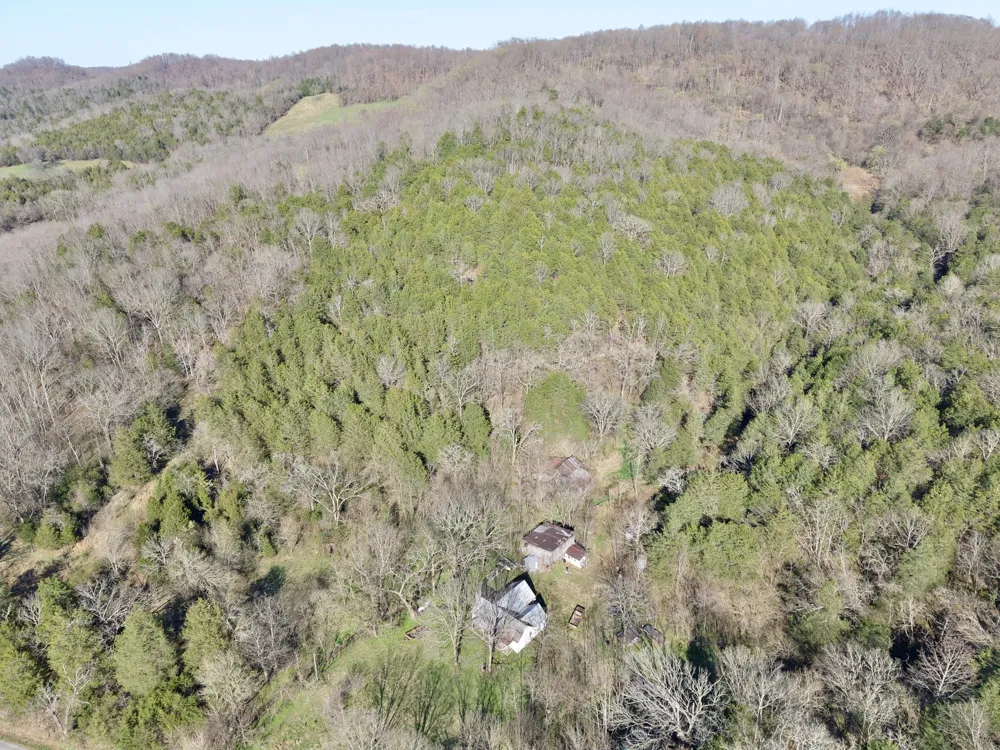 3780A Hurricane Creek Rd Woodbury, TN 37190