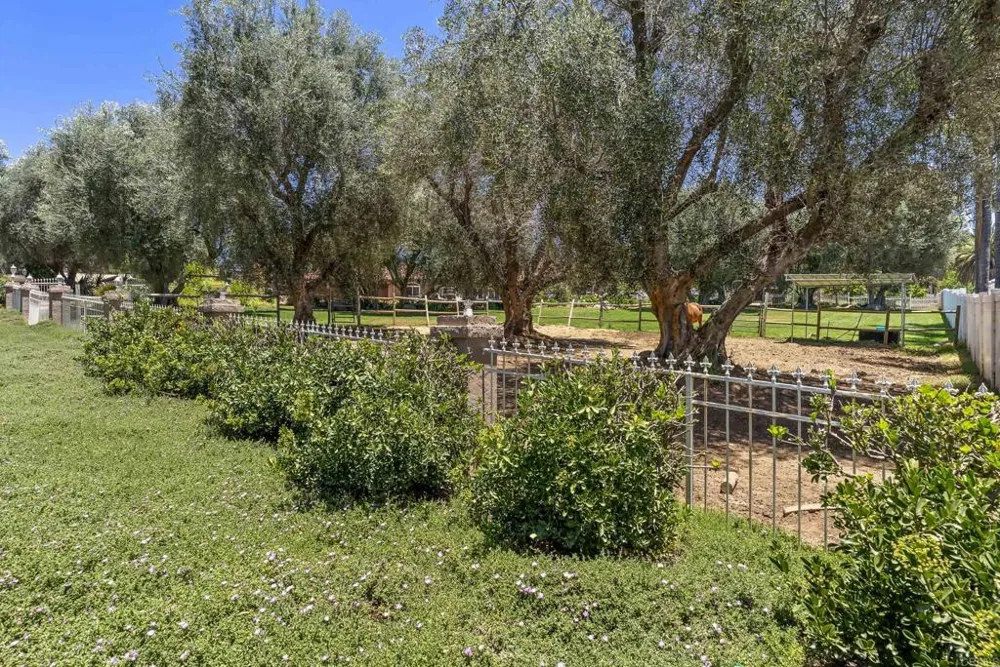 2365 Shaylene Way Alpine, CA 91901