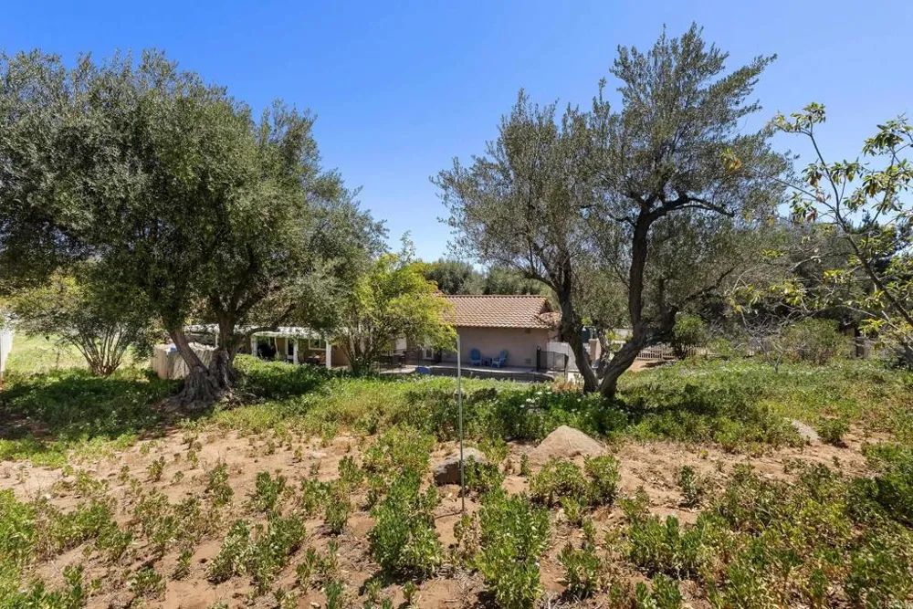 2365 Shaylene Way Alpine, CA 91901