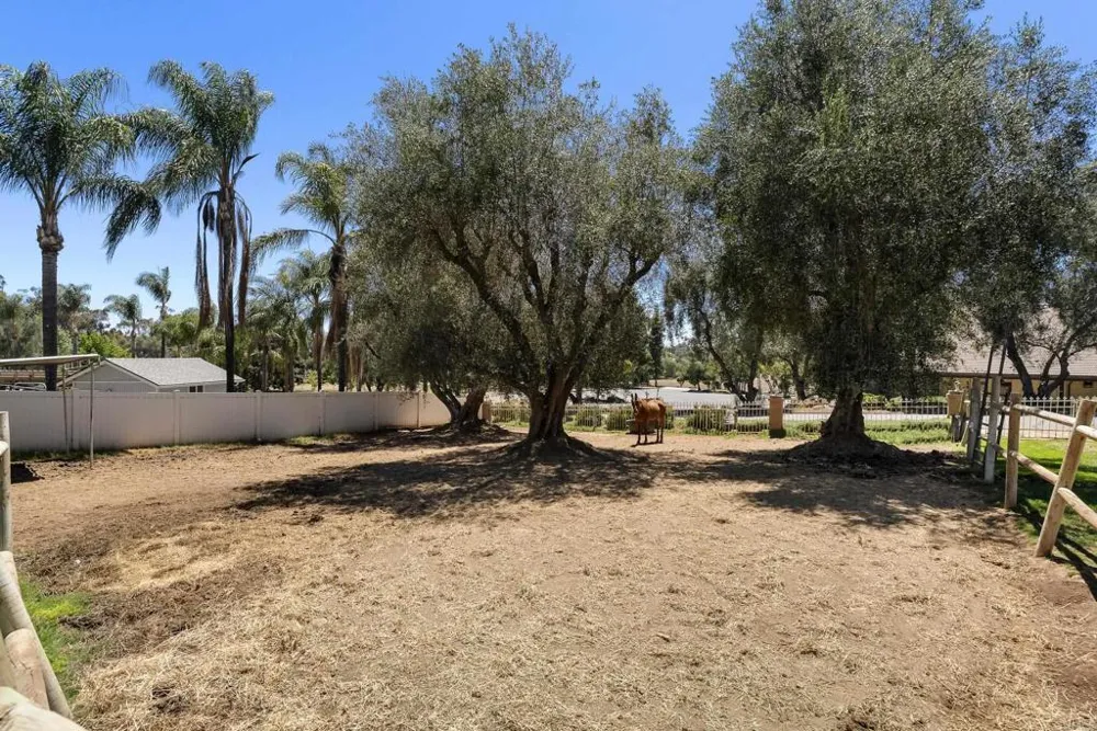 2365 Shaylene Way Alpine, CA 91901