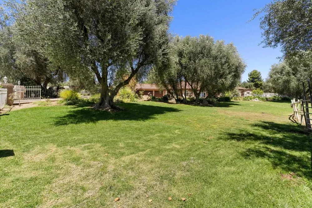 2365 Shaylene Way Alpine, CA 91901