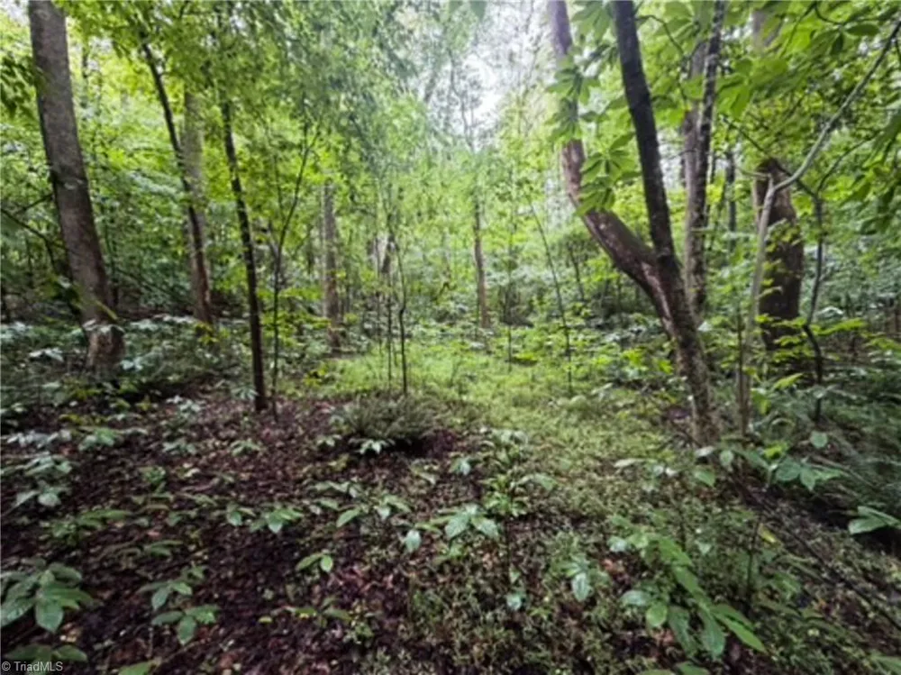 7767 Pearman Quarry Road Kernersville, NC 27284