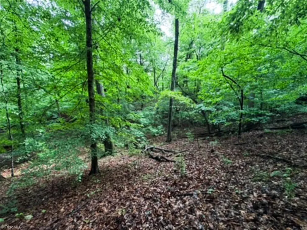7767 Pearman Quarry Road Kernersville, NC 27284