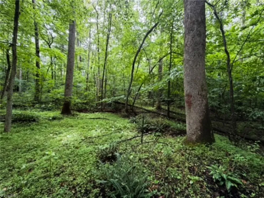 7767 Pearman Quarry Road Kernersville, NC 27284